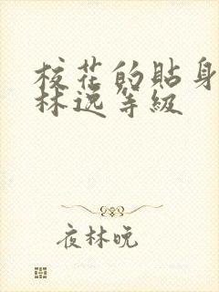 校花的贴身高手林逸等级