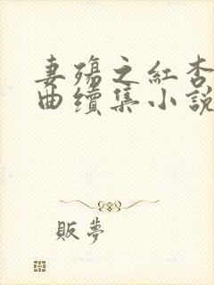 妻殇之红杏三部曲续集小说叫什么