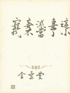 宠妾灭妻这王妃我不当了小说