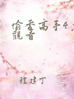 偷香高手4免费观看