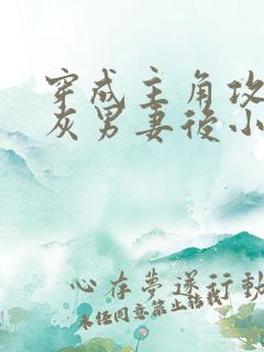 穿成主角攻的炮灰男妻后小说