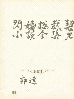 闪婚总裁契约妻小说全集免费阅读