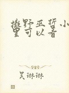 撒野巫哲小说那里可以看