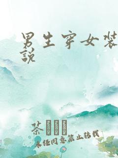 男生穿女装的小说