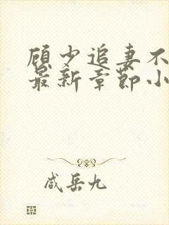 顾少追妻不要脸最新章节小说免费阅读