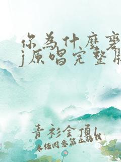 你为什么变了dj原唱完整版