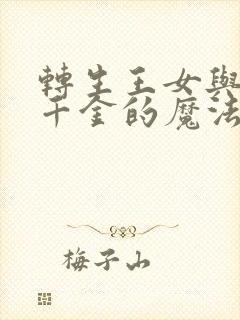 转生王女与天才千金的魔法革命 动漫