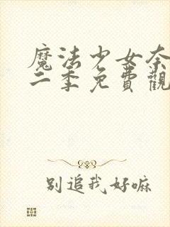 魔法少女奈叶第二季免费观看全集