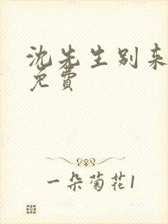 沈先生别来无恙免费