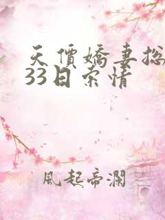 天价娇妻总裁的33日索情