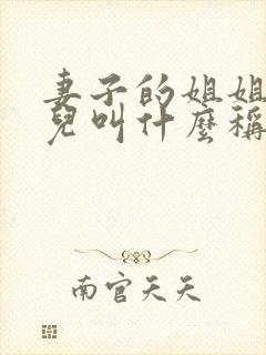 妻子的姐姐的女儿叫什么称谓