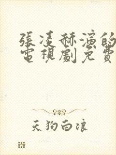 张凌赫演的爱你电视剧免费观看