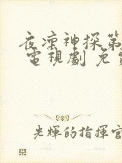 夜凛神探第一季 电视剧 免费
