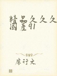 精品久久久久久国产91