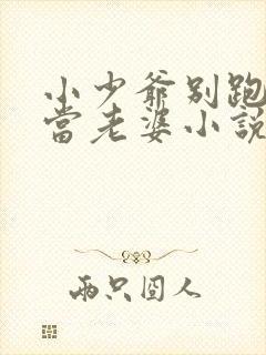 小少爷别跑乖乖当老婆小说免费阅读