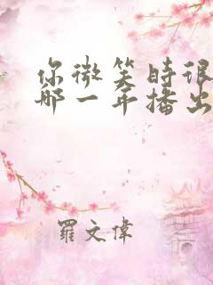 你微笑时很美是哪一年播出的