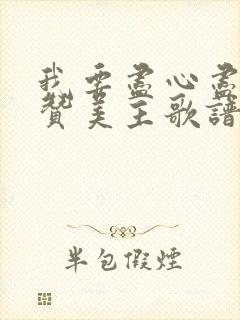 我要尽心尽力来赞美主歌谱