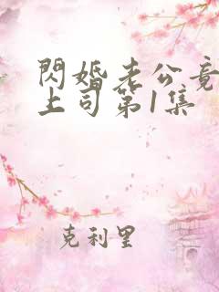 闪婚老公竟是我上司第1集