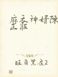麻衣神婿陈黄皮正版