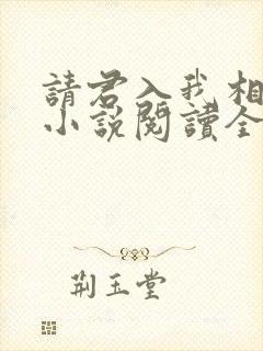 请君入我相思局小说阅读全文下载