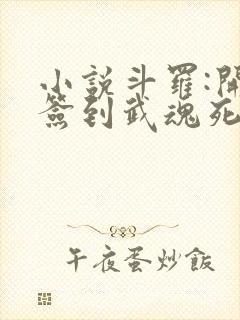 小说斗罗:开局签到武魂死神txt