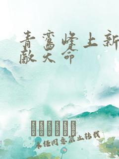 青鸾峰上新书无敌天命