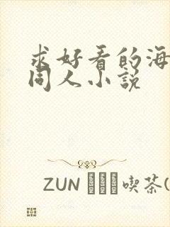 求好看的海贼王同人小说