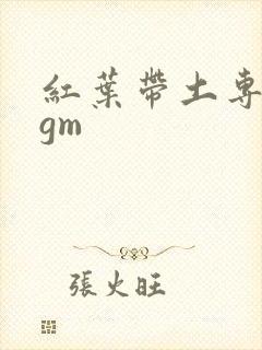 红叶带土专属bgm