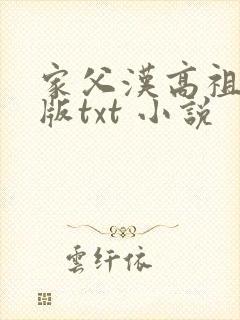 家父汉高祖精校版txt 小说