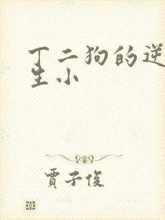 丁二狗的逆袭人生小