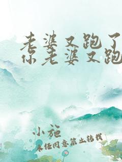 老婆又跑了少帅你老婆又跑了