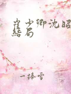 崔少卿沈昭小说结局