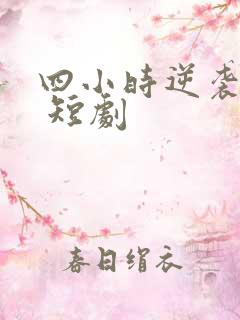 四小时逆袭指南 短剧