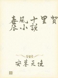 春风十里贺卿良辰小说