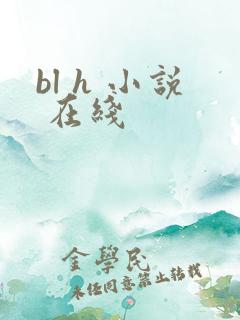 bl h 小说 在线