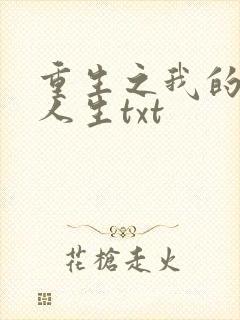 重生之我的书记人生txt