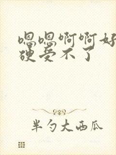 嗯嗯啊啊好大好硬受不了