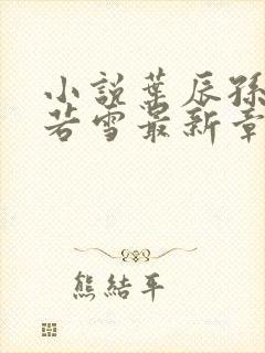 小说叶辰孙怡夏若雪最新章节阅读