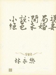 小说:开局退婚绝色未婚妻