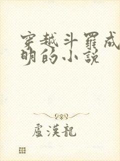穿越斗罗成为秦明的小说