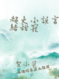 超火小说言情完结甜宠