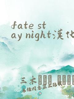 fate stay night汉化