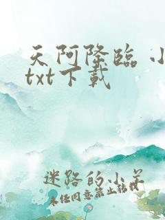 天阿降临 小说txt下载