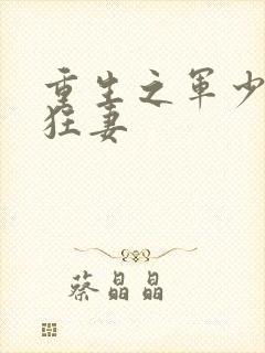 重生之军少溺宠狂妻