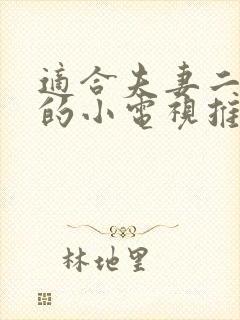 适合夫妻二人看的小电视推荐一下