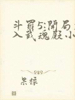 斗罗5:开局加入武魂殿小说阅读全文