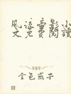 风流帝影小说全文免费阅读无弹窗