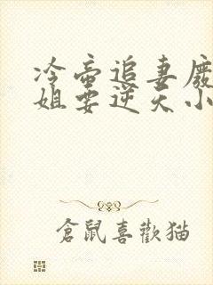 冷帝追妻废材小姐要逆天小说完整