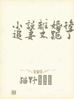 小说离婚后大佬追妻又跪了