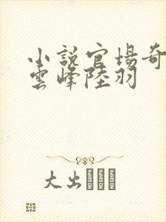 小说官场奇才刘云峰陆羽